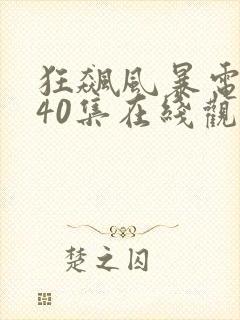 狂飙风暴电视剧40集在线观看免费封面