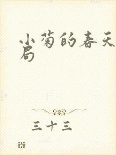 小菊的春天大结局封面