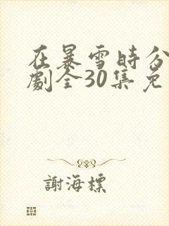 在暴雪时分电视剧全30集免费观看