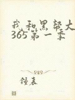 我和黑帮大佬的365第一季