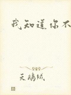 我知道你不爱我