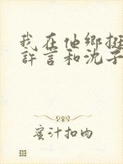 我在他乡挺好的许言和沈子畅结局