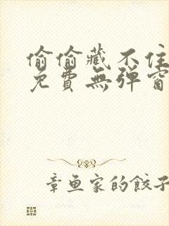 偷偷藏不住全文免费无弹窗阅读封面