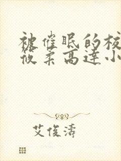 被催眠的校花高筱柔高达小刚h封面