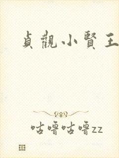 贞观小贤王李慎