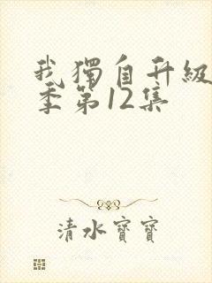 我独自升级第二季第12集封面