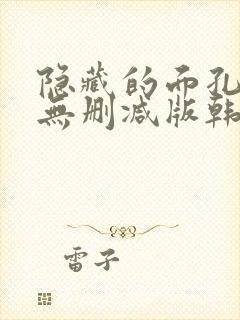 隐藏的面孔韩剧无删减版韩国在线观看