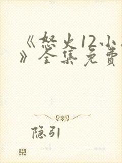 《怒火12小时》全集免费观看封面