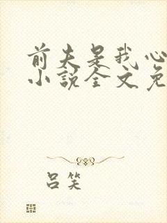 前夫是我心头恨小说全文免费阅读封面