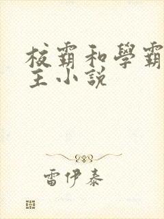 校霸和学霸双男主小说封面