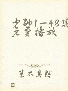 少帅1—48集免费播放