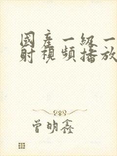 国产一级一片内射视频播放