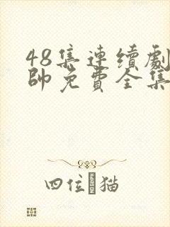 48集连续剧少帅免费全集观看