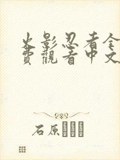 火影忍者全集免费观看中文版