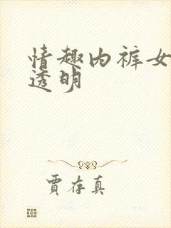 情趣内裤女士全透明