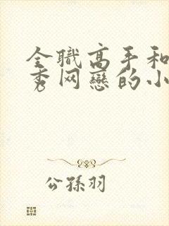 全职高手和楚云秀网恋的小说