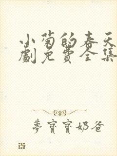 小菊的春天电视剧免费全集