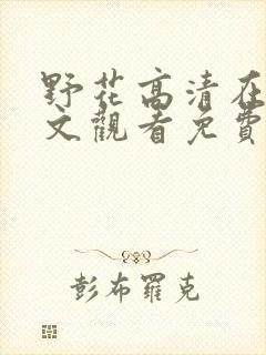 野花高清在线中文观看免费完整封面