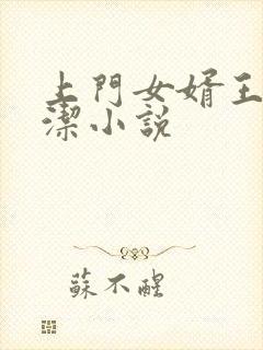 上门女婿王浩李洁小说