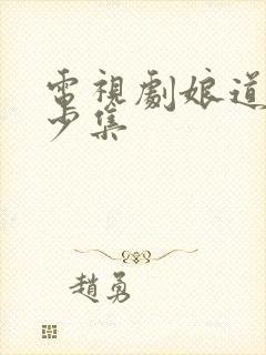 电视剧娘道有多少集