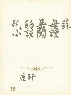 我的岳母苏沛真小说阅读封面