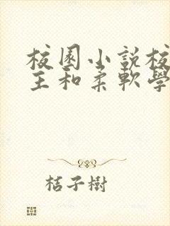 校园小说校霸男主和柔软学霸女主