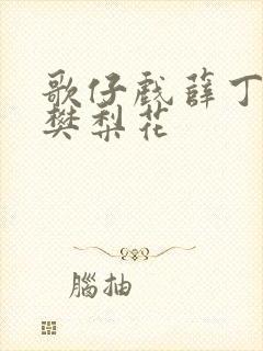 歌仔戏薛丁山与樊梨花