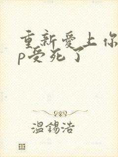 重新爱上你副cp受死了封面