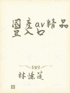 国产av精品麻豆入口