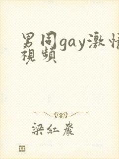 男同gay激情视频