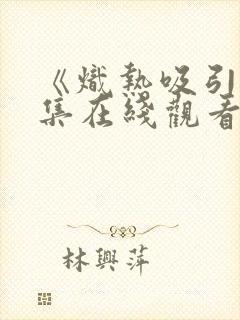 《炽热吸引》全集在线观看17集