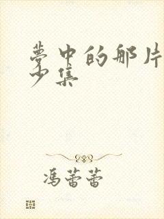 梦中的那片海多少集封面