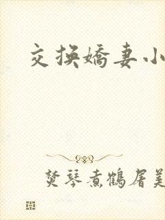 交换娇妻小说