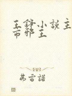 王铮小说主角都市邪王