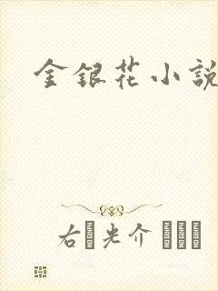 金银花小说乐可