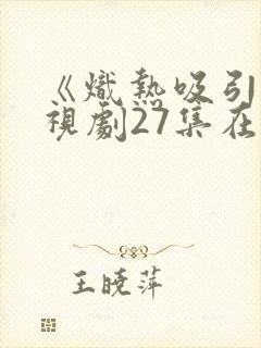 《炽热吸引》电视剧27集在线看