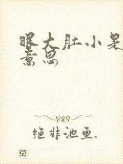 眼大肚小是什么意思