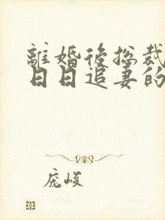 离婚后总裁前夫日日追妻的剧情简介封面