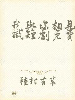 我与你相见不相识短剧免费观看全集