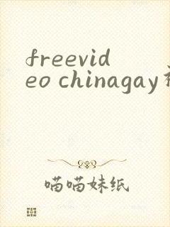 freevideo chinagay视频