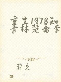 重生1978知青林楚乔李向南结局