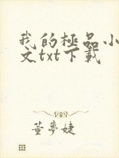 我的极品小姨全文txt下载