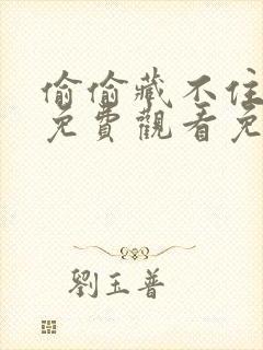 偷偷藏不住全集免费观看免费封面