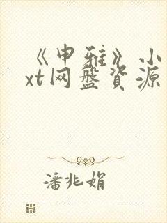 《申雅》小说txt网盘资源