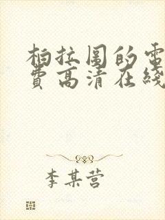 柏拉图的电影免费高清在线观看封面