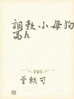 调教小母狗小说高h