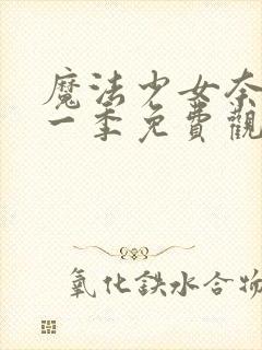 魔法少女奈叶第一季免费观看