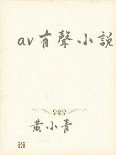 av有声小说