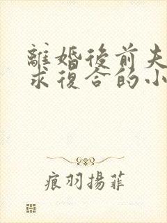 离婚后前夫天天求复合的小说