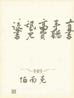 流氓高手有声听书免费听书